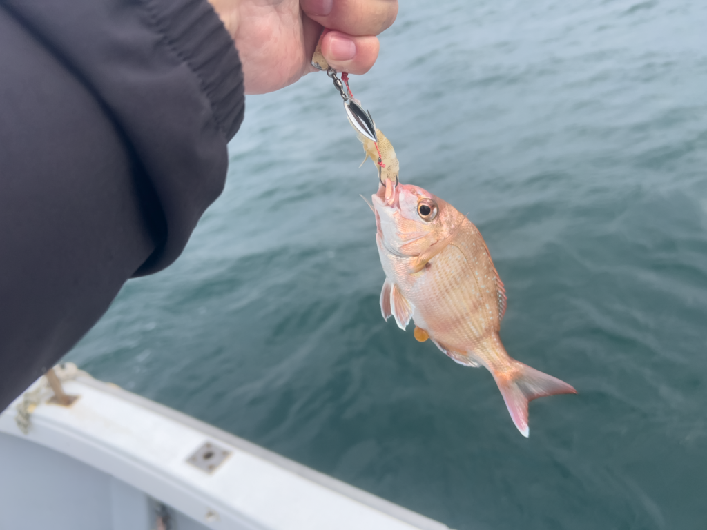 関門遊漁船　ひびき　一つテンヤ