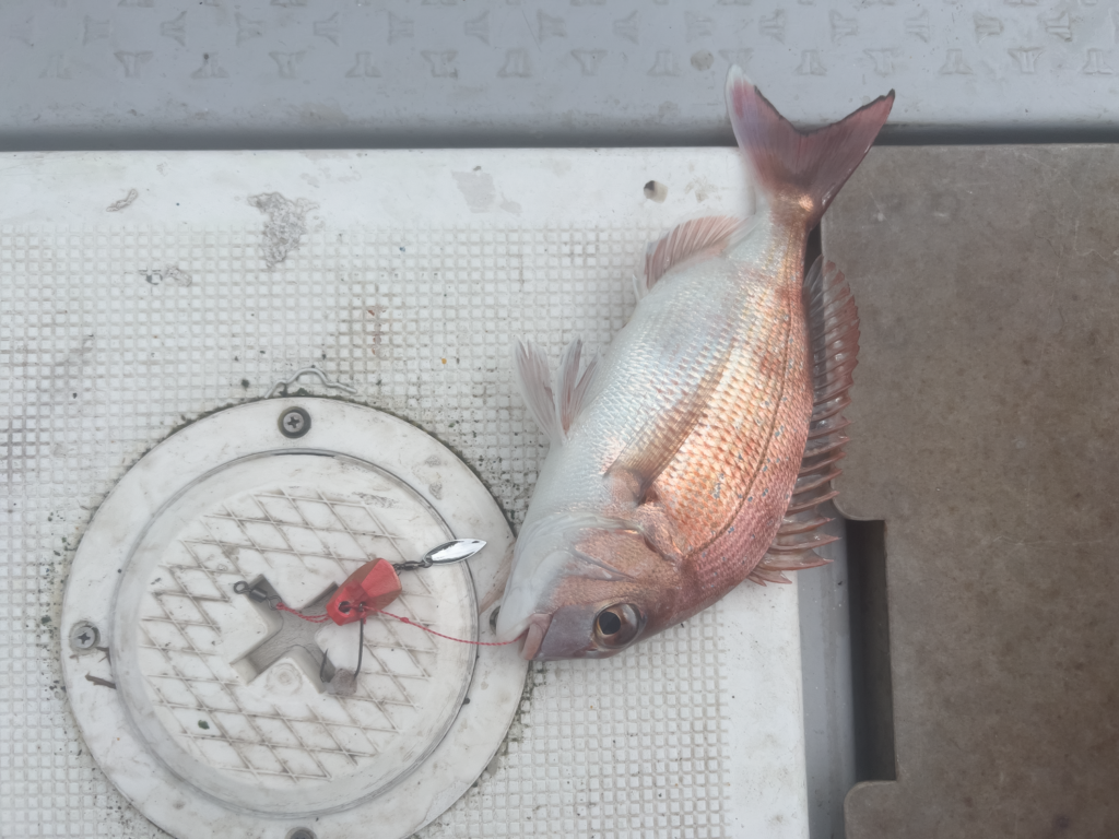 関門遊漁船　ひびき　一つテンヤ