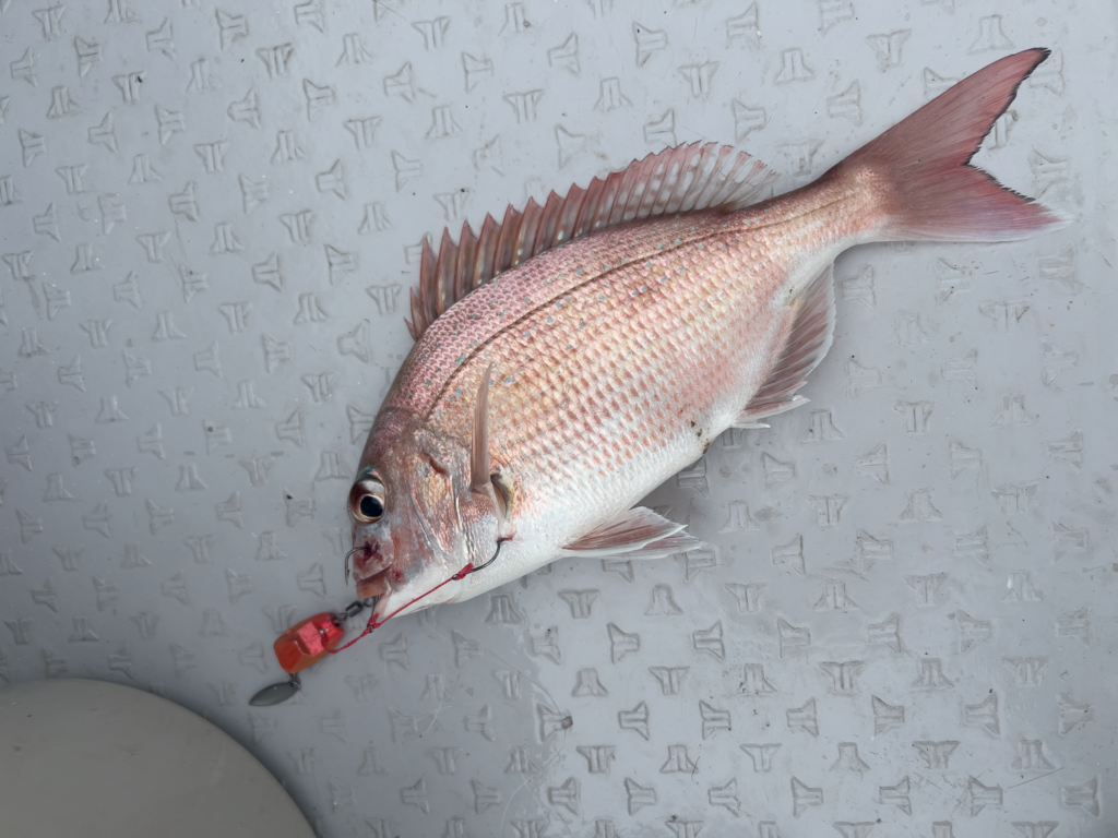 関門遊漁船　ひびき　一つテンヤ