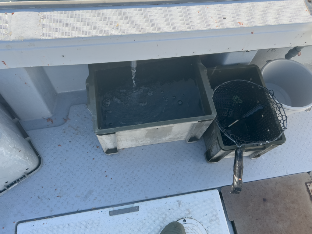 関門遊漁船　ひびき　海水循環イケス