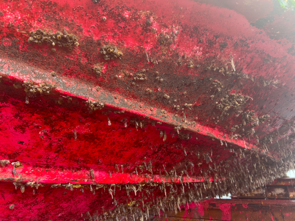 関門遊漁船　ひびき