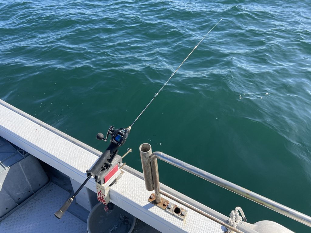 関門遊漁船ひびき ライト泳がせ釣り