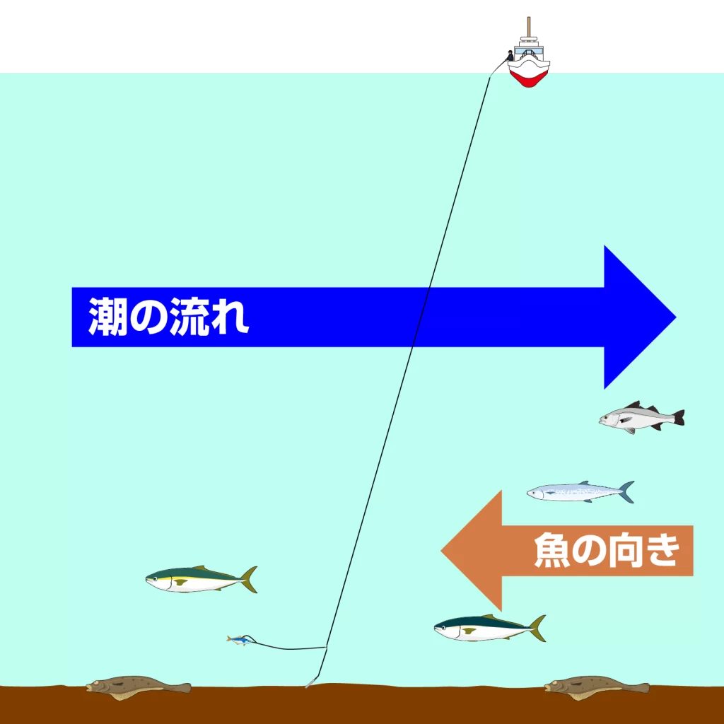 関門遊漁船　ひびき　ライト泳がせ