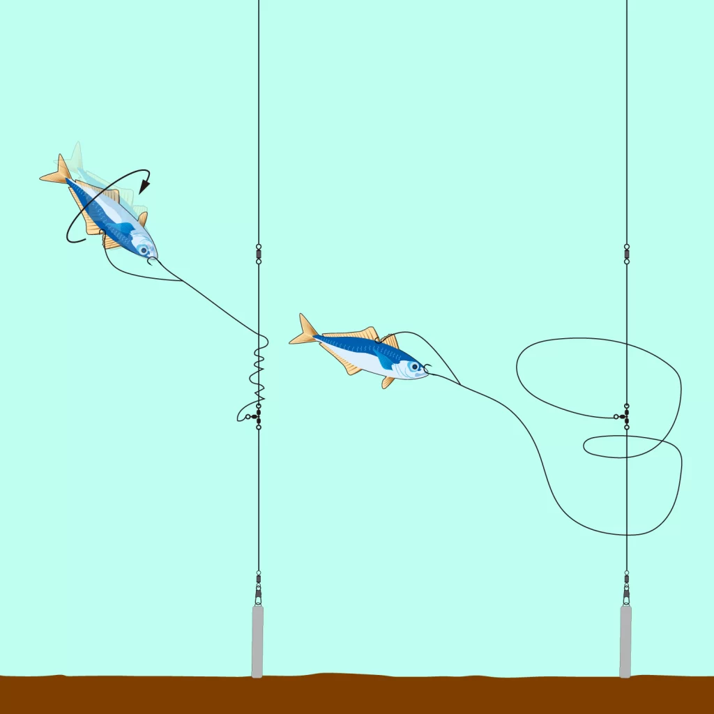 関門遊漁船　ひびき　ライト泳がせ