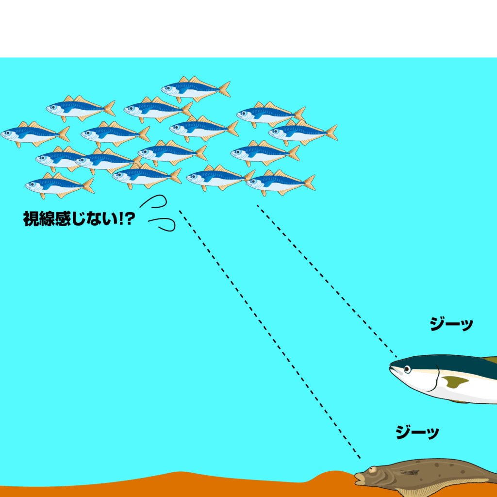 関門遊漁船ひびき　ライト泳がせ