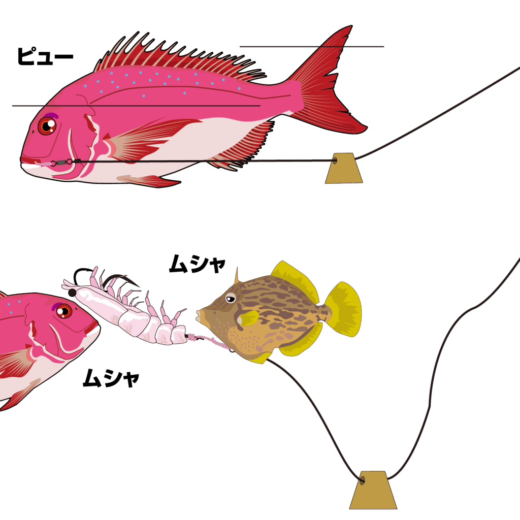 一つテンヤの接続　関門・響灘遊漁船ひびき